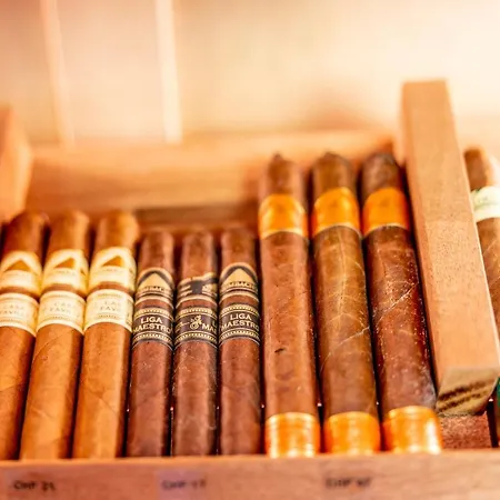 Hotel Boutique Pellas