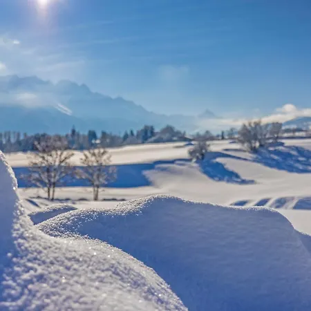 酒店 Boutique Pellas