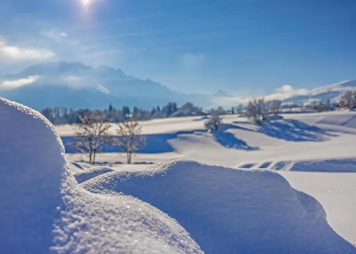 Hotel Boutique Pellas