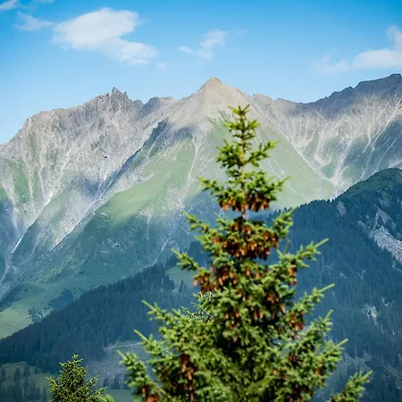 Boutique Pellas 酒店 *